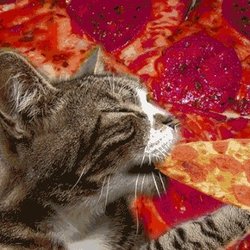 David LeBlanc (Driver Headshot)