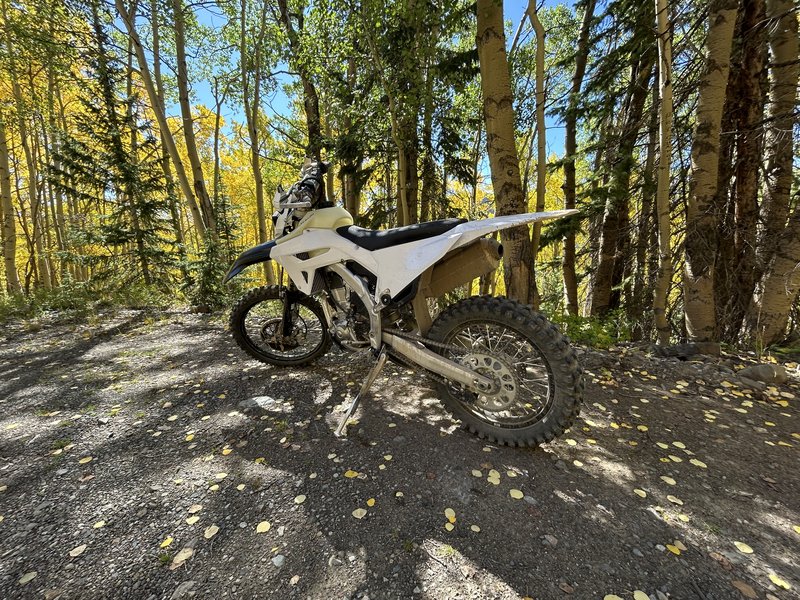 Bob Kimber (Ironman Pro Motorcycle Vehicle Photo)