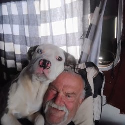 George Giti Gowland (Driver Headshot)